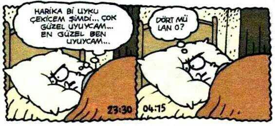 32 Saattir uyumuyorum.?