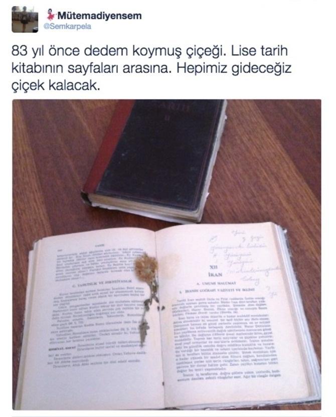 Siz de kitap veya defter arasında çiçek koydunuz mu ?