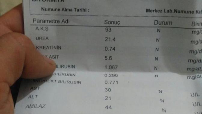 226 Promil Alkol Ne derece etkiler İnsanı?