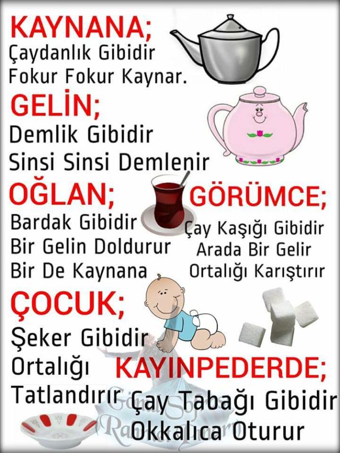 Sizce hangisi doğru ya da yanlış ?