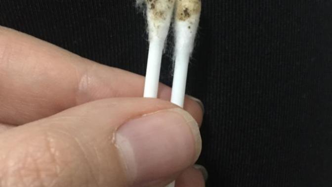 İran kedimin kulağından?