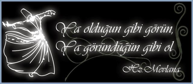 "Ya olduğun gibi görün ya da göründüğün gibi ol" sözüne katılıyor musunuz?