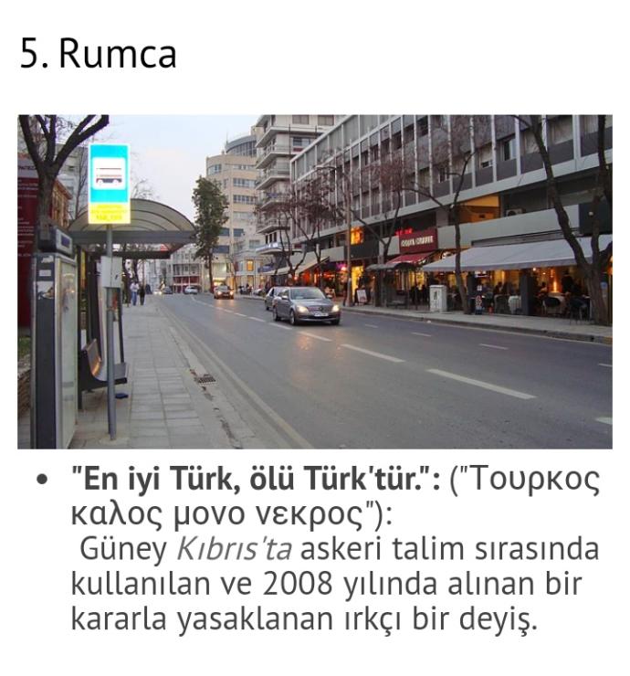 Türkler Hakkında söylenmiş Irkçı sözler, Ne düşünüyorsunuz?