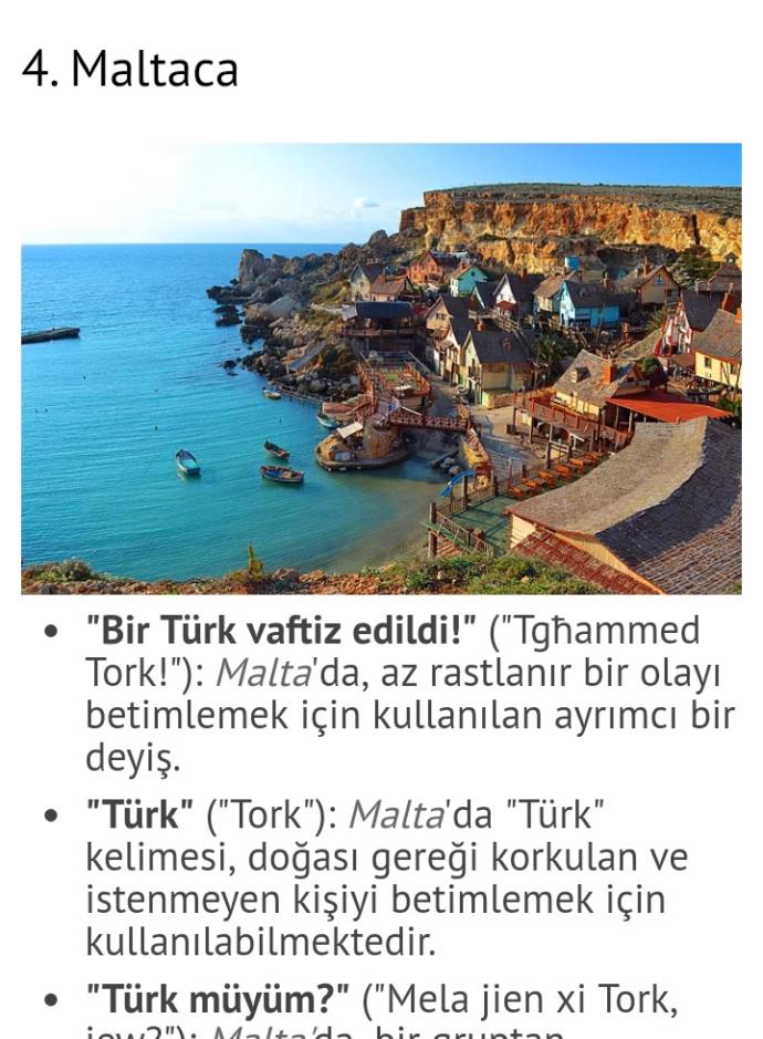 Türkler Hakkında söylenmiş Irkçı sözler, Ne düşünüyorsunuz?