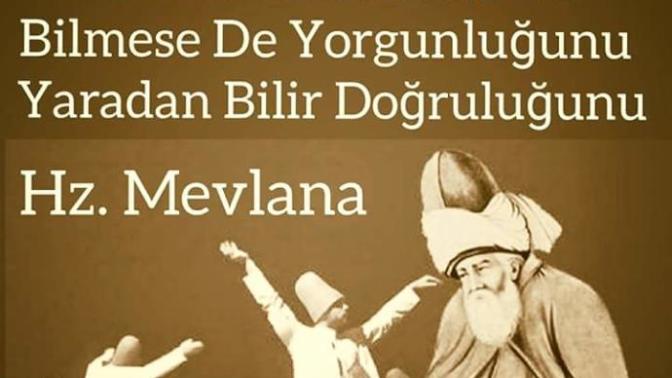 Yerli ve yabancı beğendiğiniz Atasözleri nedir?