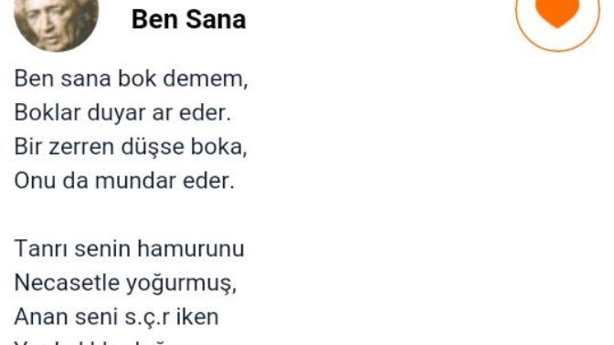 Şair burada ne demek istiyor?
