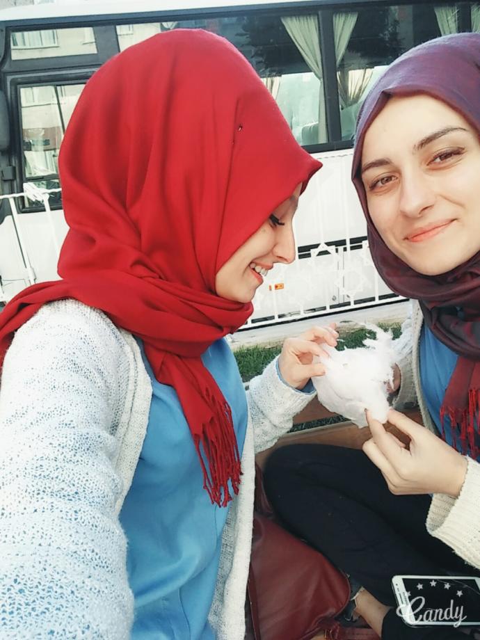 Pamuk şeker sevmeyen var mı ?