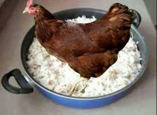 Kimlerin karnı aç 😁 tavuklu pilav sever misiniz 😁?