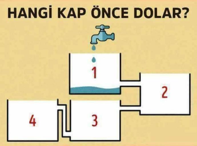 Hangisi önce dolar 😱 ?