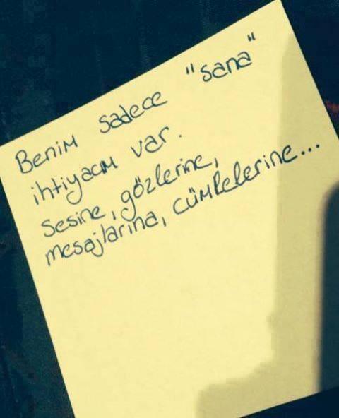 Siz hiç birine deli gibi aşık oldunuz mu?