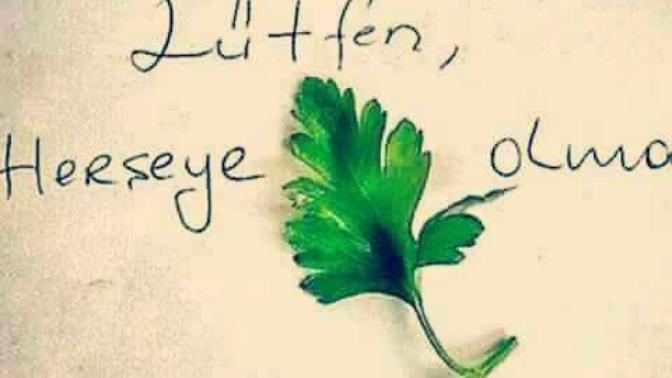 Etrafınızda herşeye maydanoz olan insanlar var mı?