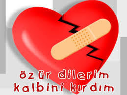 Sevgiliniz İle Kavga Ettiğinizde İlk Kim Özür Diler ?