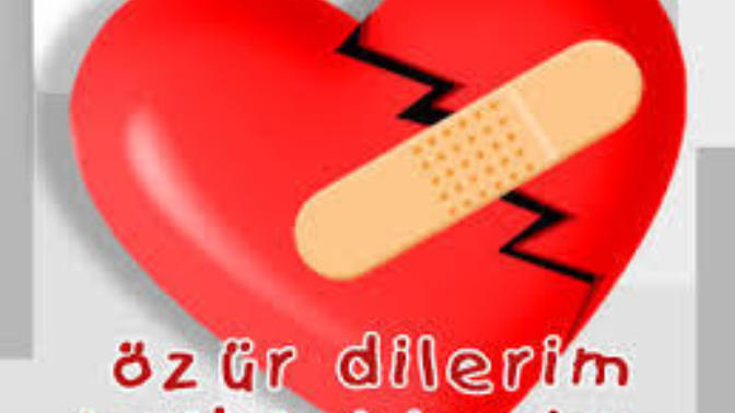 Sevgiliniz ile kavga ettiğinizde ilk kim özür diler?