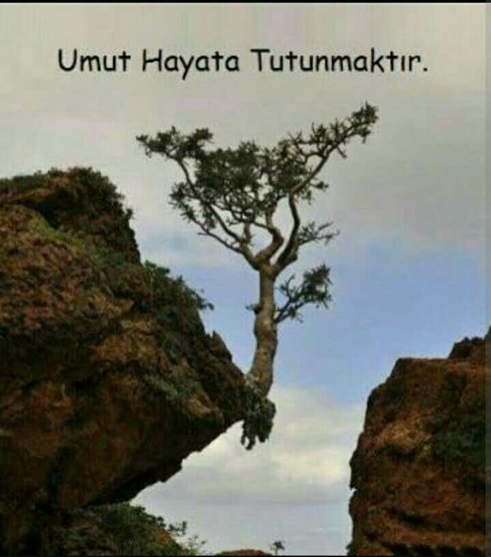 sizce umut nedir?