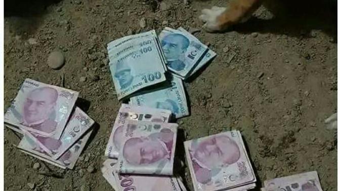 Köpek bile paranin yuzune bakmazken ;para icin köpekleşen insanlar var ?