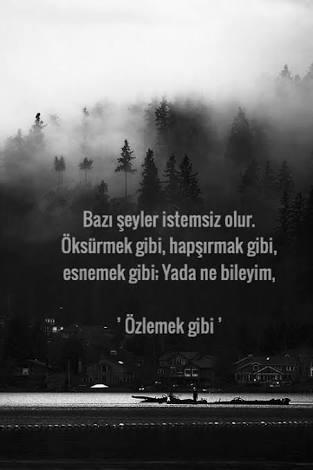 Özlemek Nedir Biliyor Musunuz?