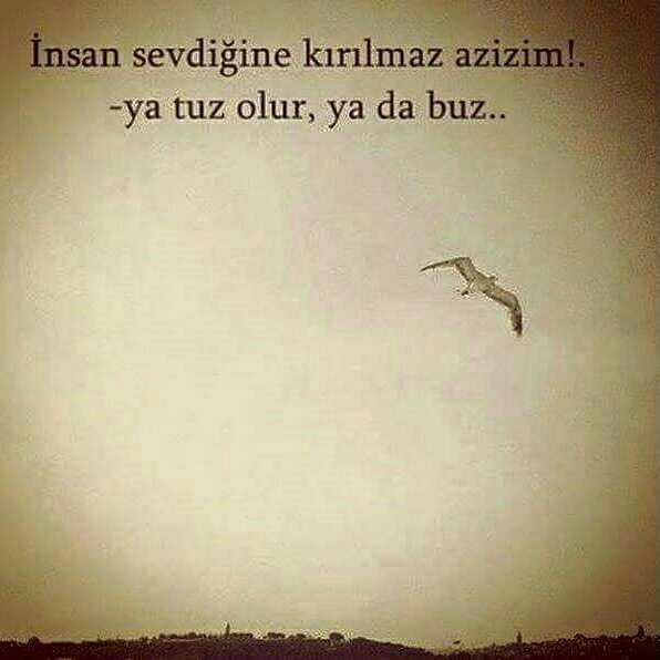 insan sevdiğine kırılırmı sizce???