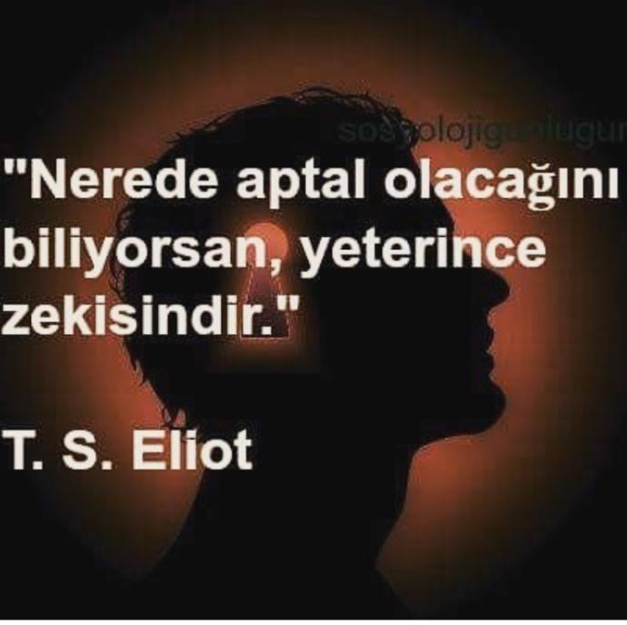 Nerede aptal olacağını bilecek kadar akıllımısın ?