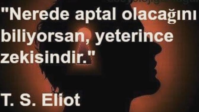 Nerede aptal olacağını bilecek kadar akıllımısın?