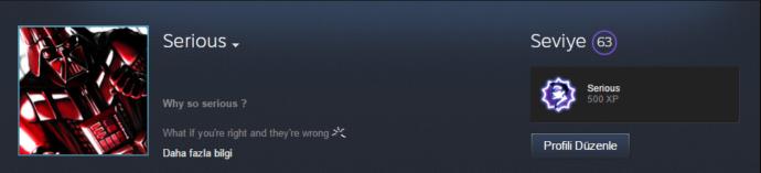 Steam Kullanan Var Mı ?