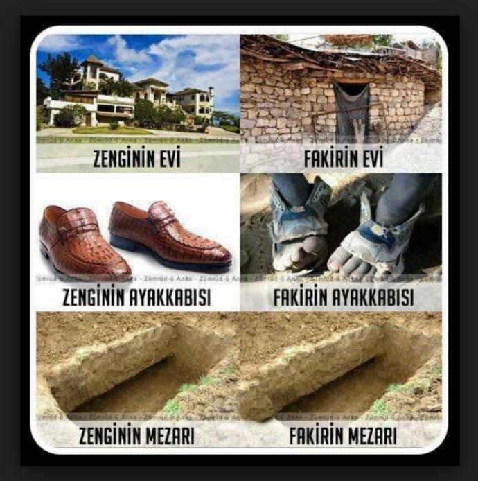 Zengin İle Fakir İnsanlar Arasındaki Gözlemlediğiniz Farklar Nelerdir..?