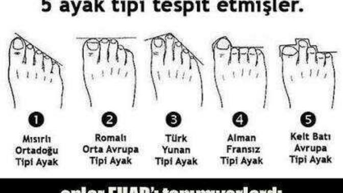 Sen ne ayaksın 😃😃😃?