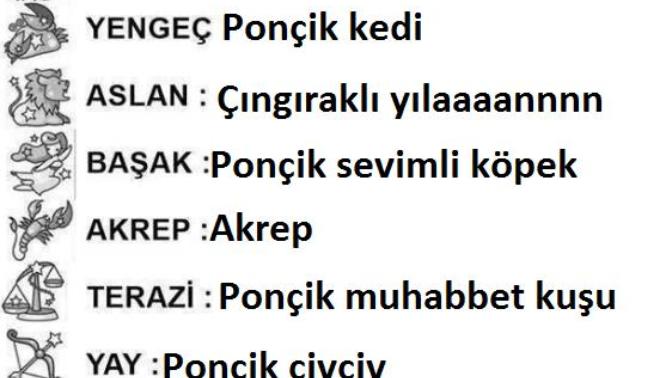 Burcunuza göre hangi hayvansınız?