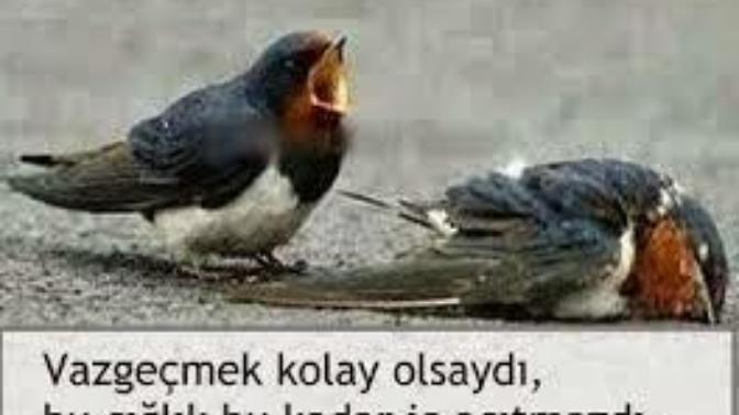 Aşk acısı nasıl geçer?