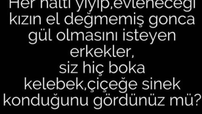 Hiç boka kelebek konduğunu gordünüz mü?