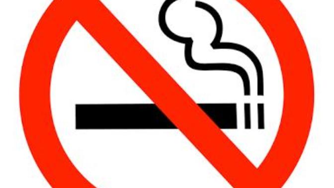 Sigara olmasa ne olurdu?