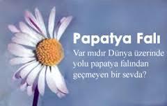 Hiç papatya ile seviyor sevmiyor yaptınız mı ve sonuç ne çıktı?