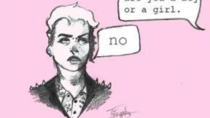 Agender hakkında bilgisi olan var mı?
