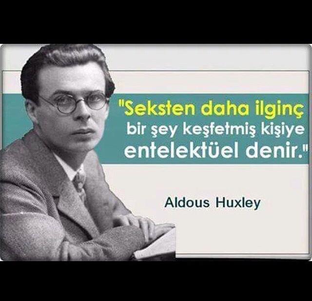 Ne demek istemiş yaaa ?