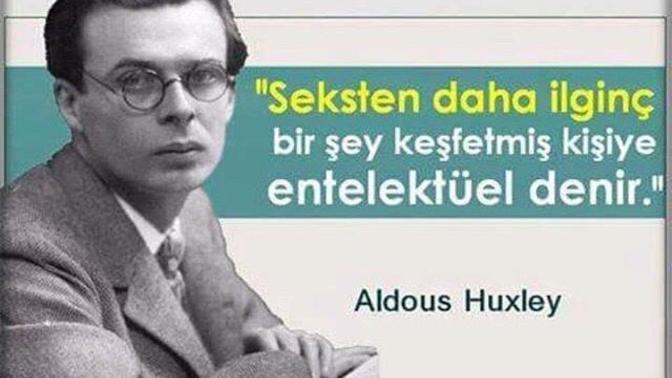 Ne demek istemiş yaaa?
