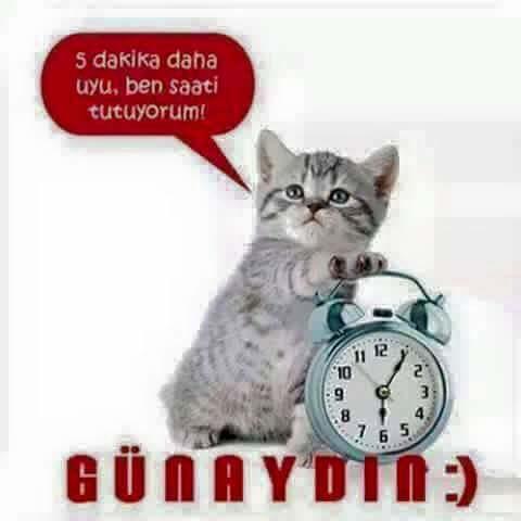 Günaydın😊 Nasıl başladınız yeni haftaya keyifler yerinde mi?