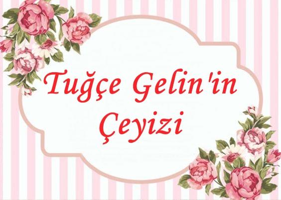 sizce kırmızı kurdele yanında hangisi daha uyumlu durur ? 