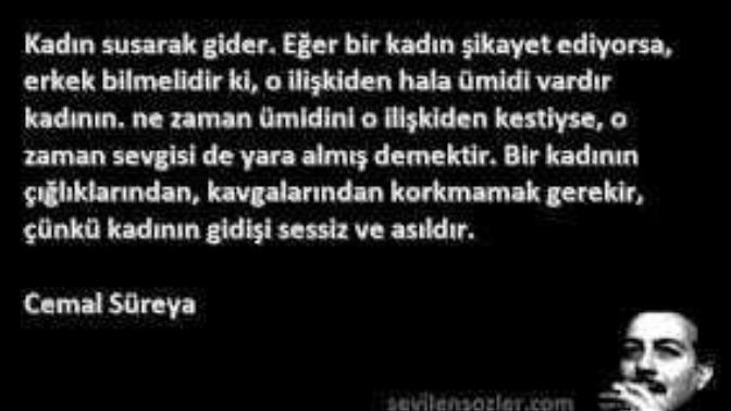 Susarak giden kadın sizce neyi anlatmıştır?
