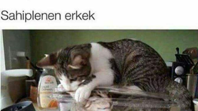 Sahiplenen erkek sizce nasıl olmalı?