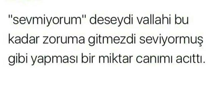 Seviyormuş gibi yaptınız mı 😺 ??