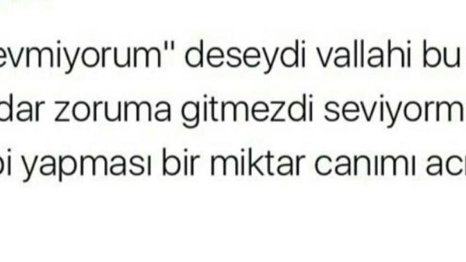 Seviyormuş gibi yaptınız mı 😺 ?