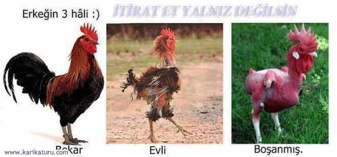 Evlilik mi bekarlık mı?