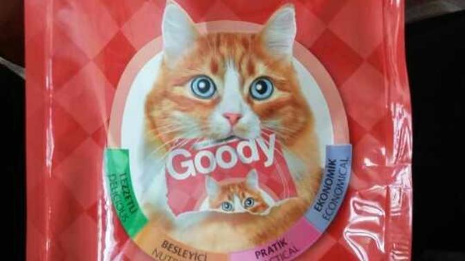 Köpekler kedi maması yer mi?