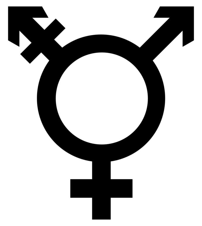 Hangi LGBTIQ+ bireyisin?