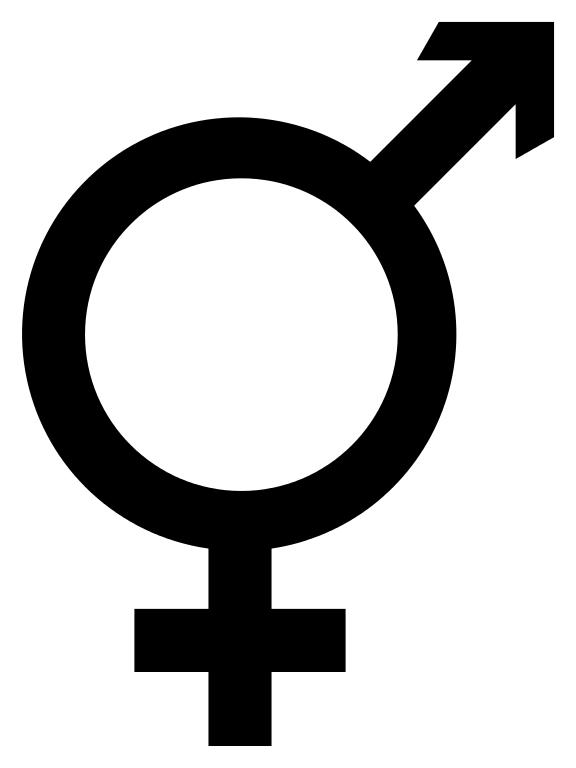 Hangi LGBTIQ+ bireyisin?