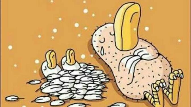 SİZCE FEDAKAR OLMALI MIYIZ?