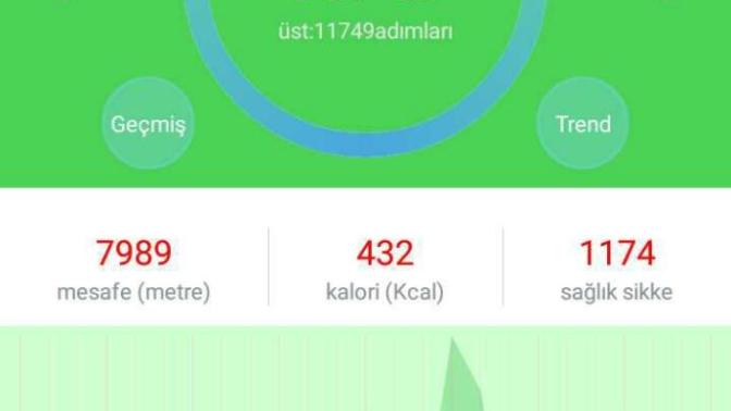 Arkadaşlar adım sayar kullanan var mı skor yapan?