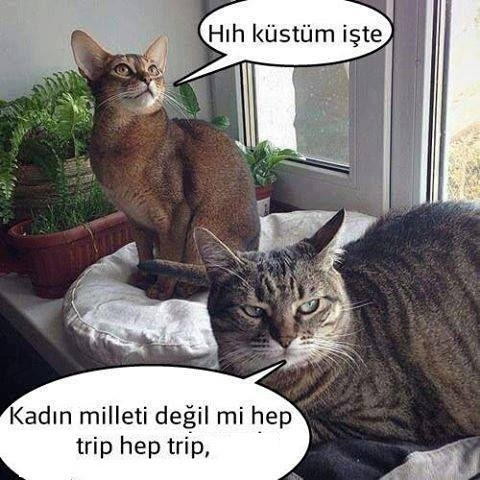 Bu kadın milleti hep mı trip atar ? 😂😂😂?