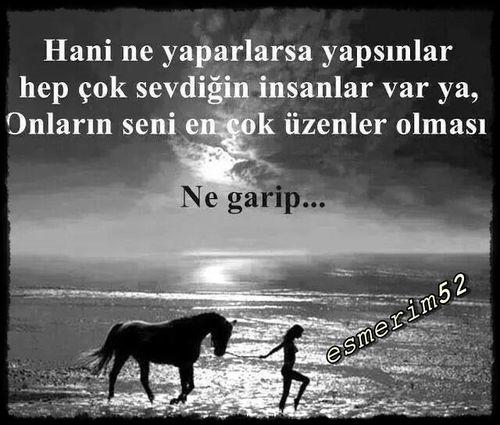 Sevipte Kavuşamamak mı? Hiç Sevmemiş Olmak mı?