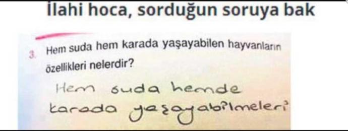 uçuk kaçık soru bilen varmı??