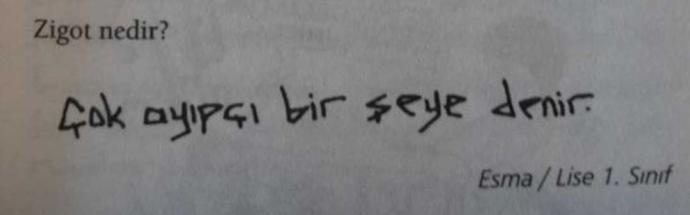 uçuk kaçık soru bilen varmı??